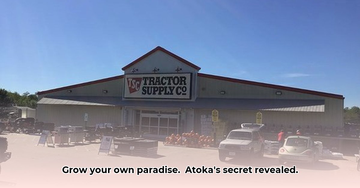tractor-supply-atoka-ok